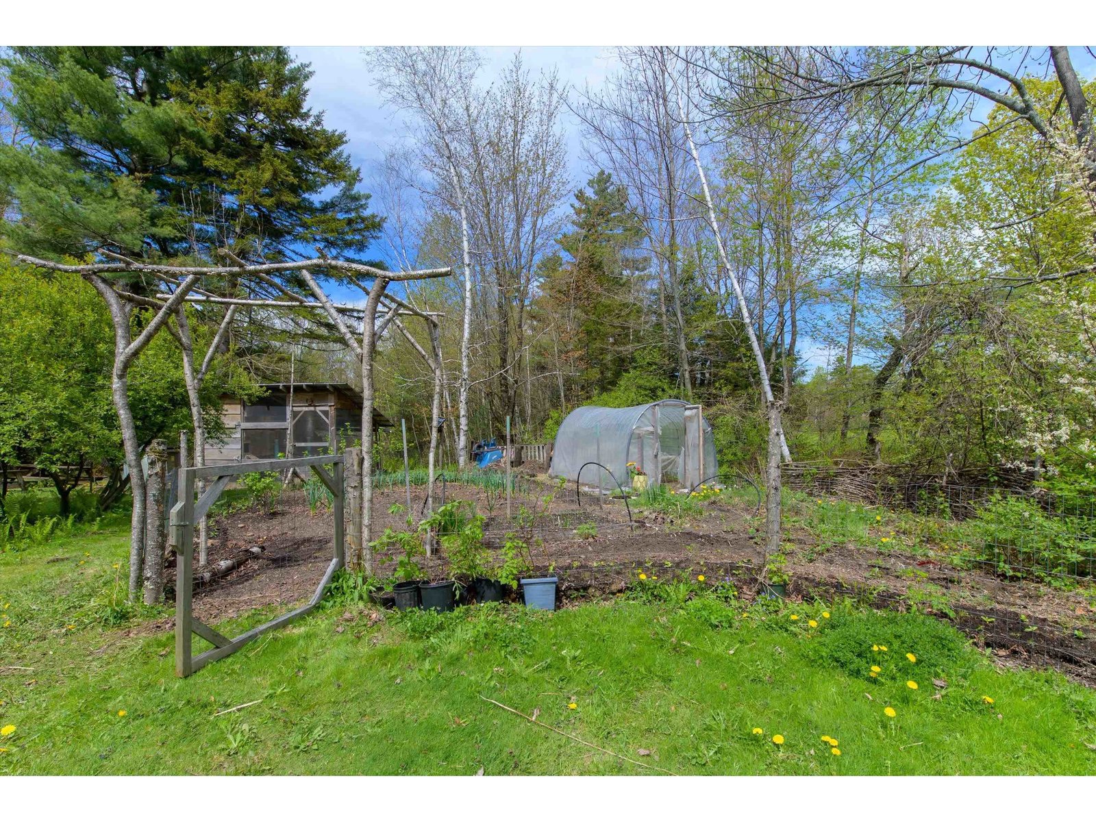 1310 Clif Reynolds Road