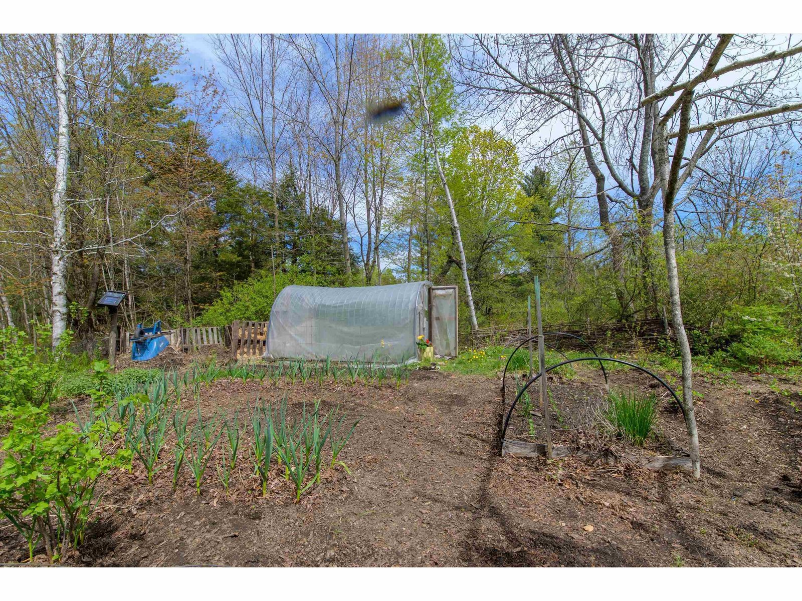 1310 Clif Reynolds Road