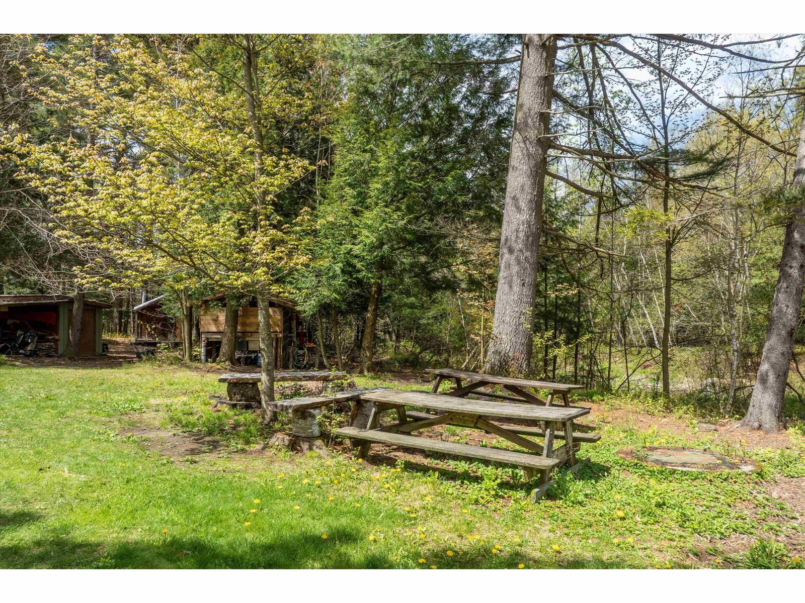 1310 Clif Reynolds Road