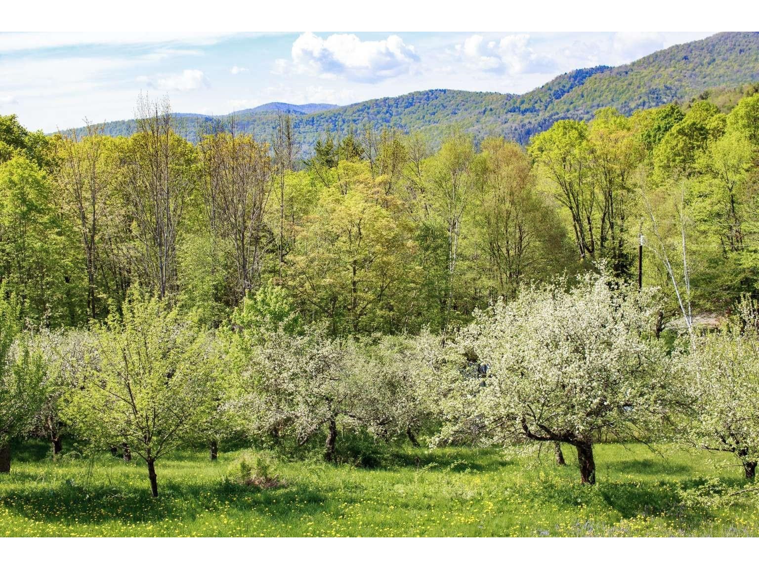 1312 Macintosh Hill Road