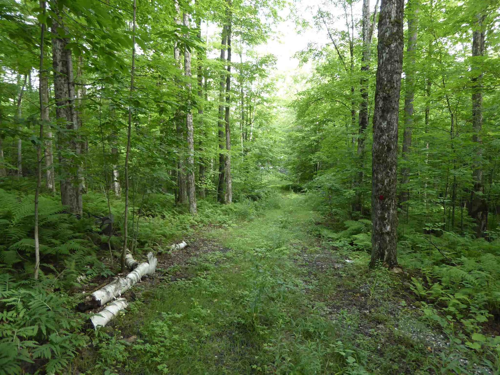 1314 Economou Road