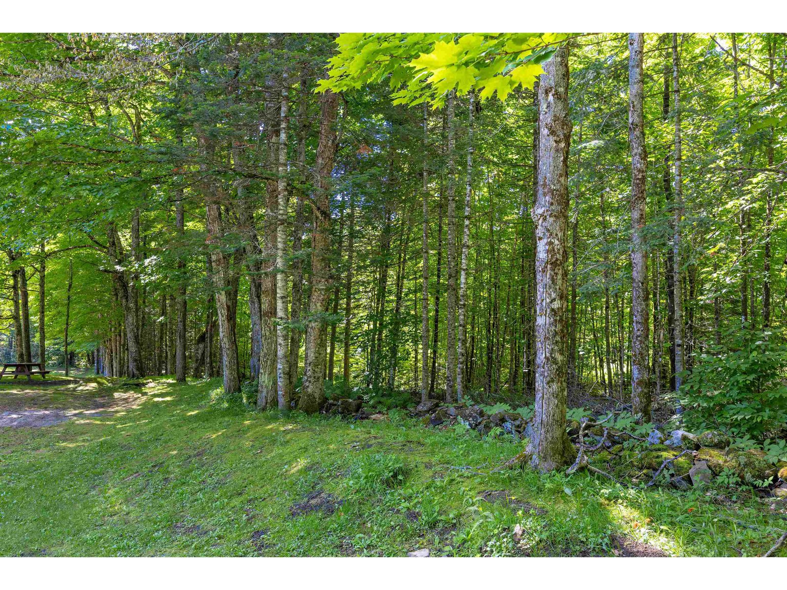 1316 Kittredge Road