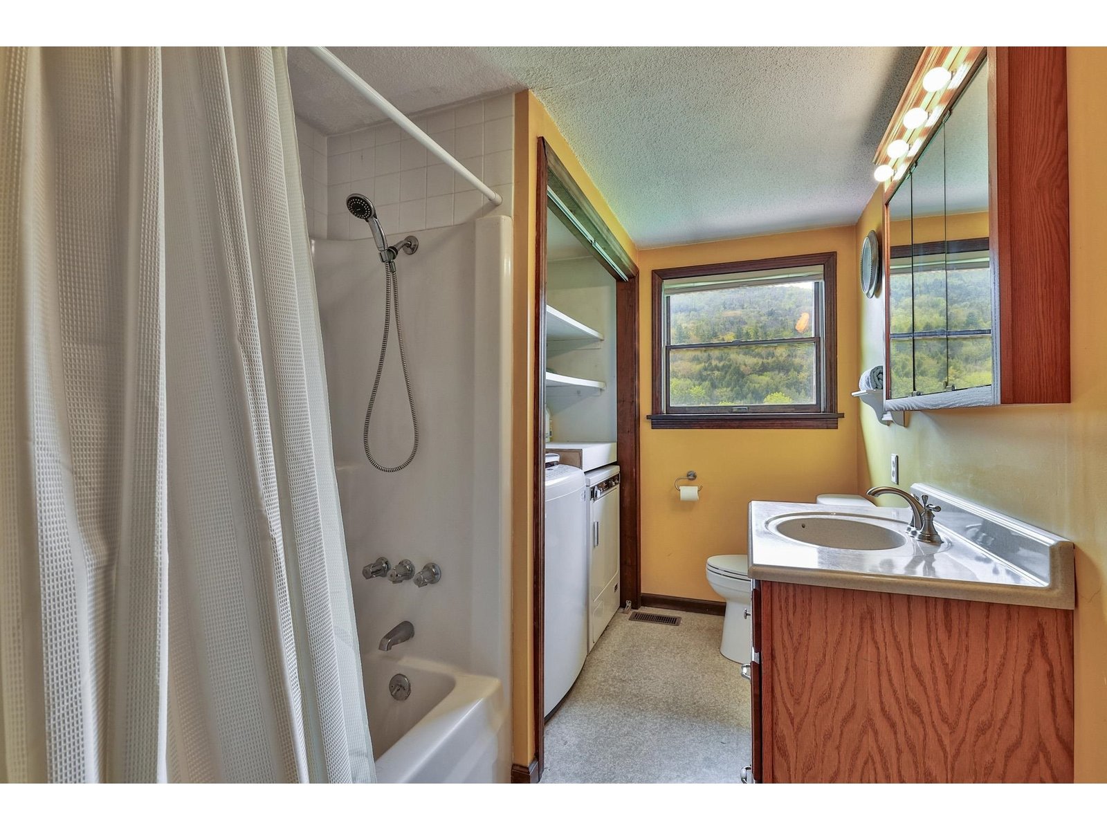 1319 Brandon Mountain Road