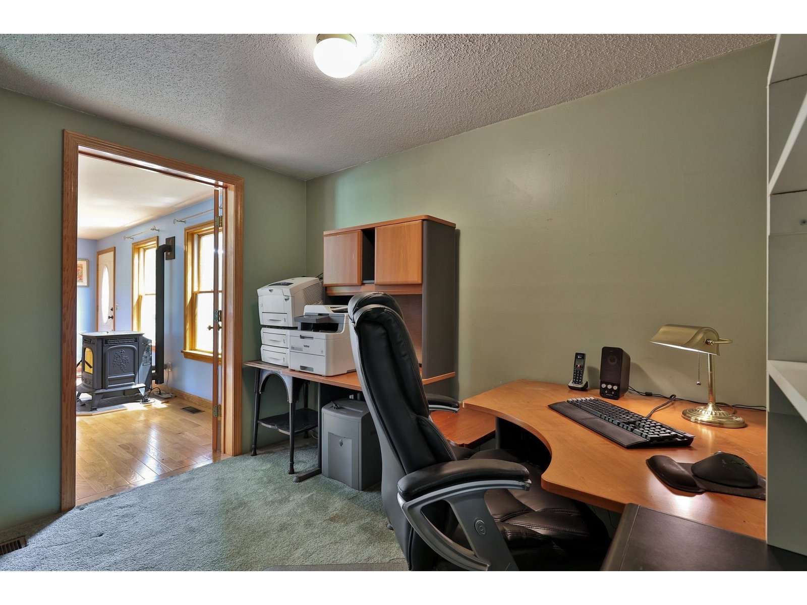 1319 Brandon Mountain Road