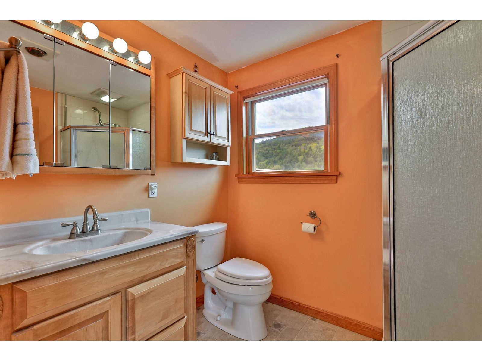 1319 Brandon Mountain Road