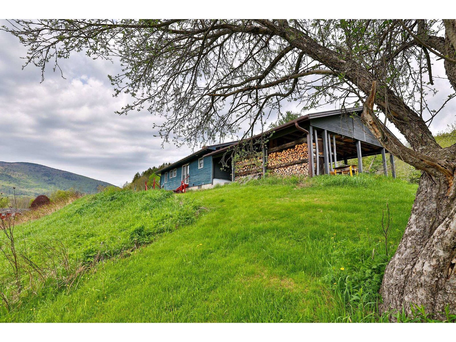 1319 Brandon Mountain Road