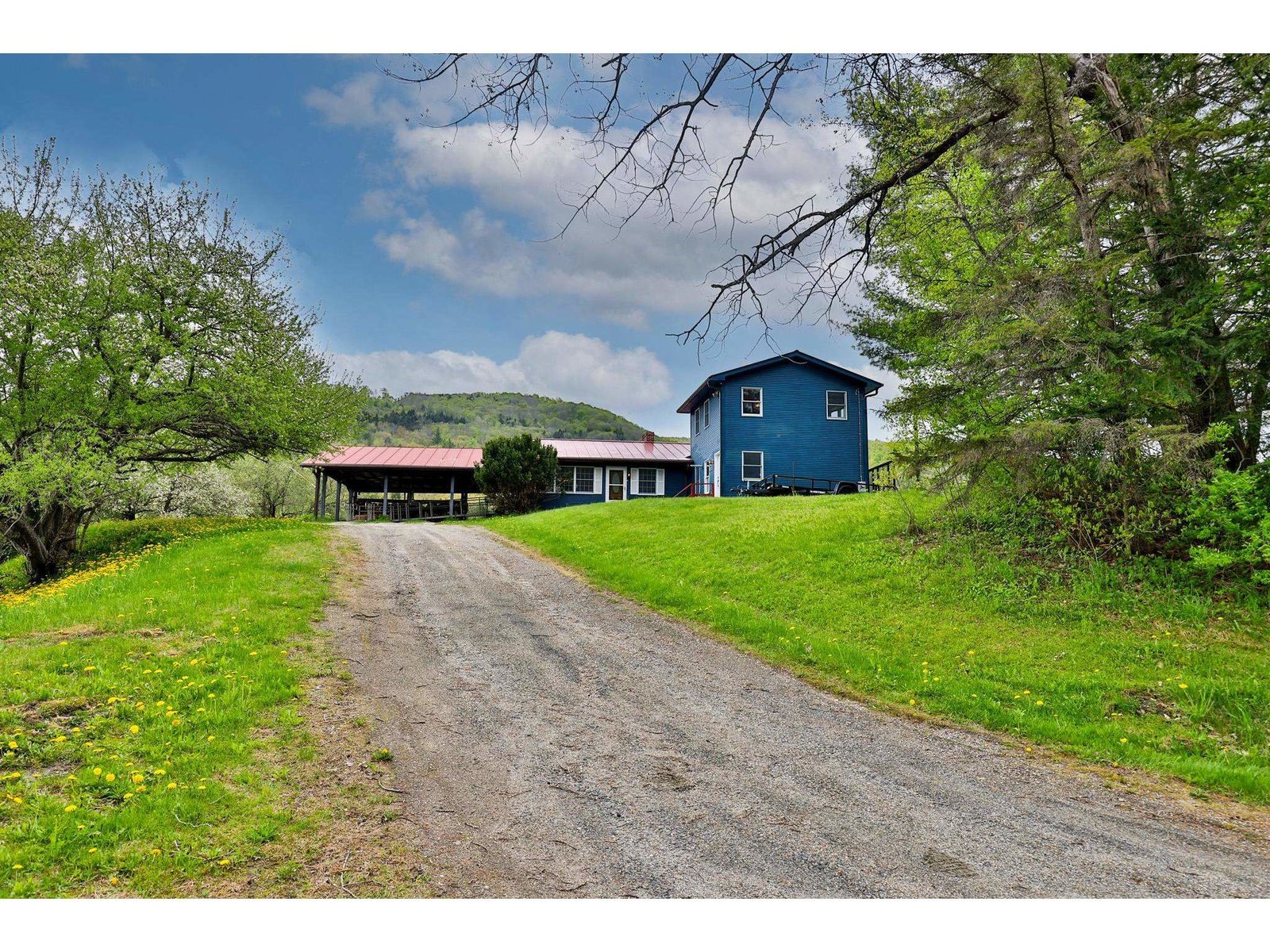 1319 Brandon Mountain Road