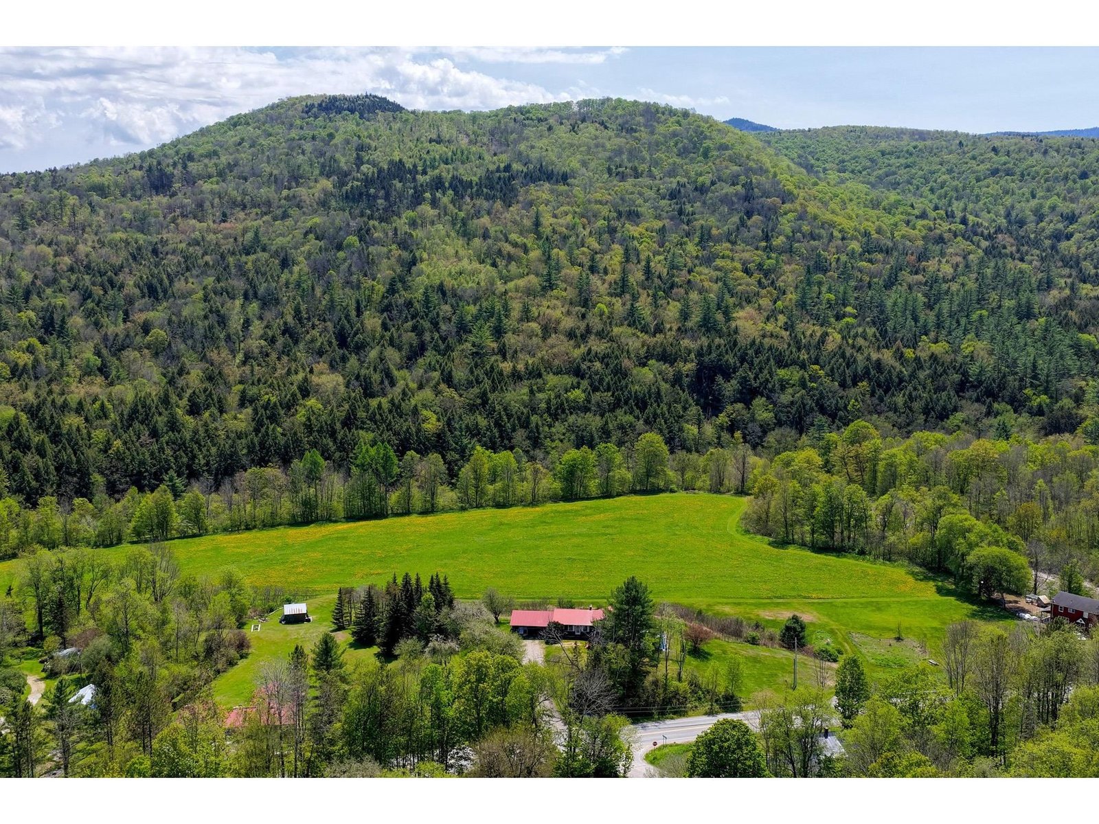 1319 Brandon Mountain Road