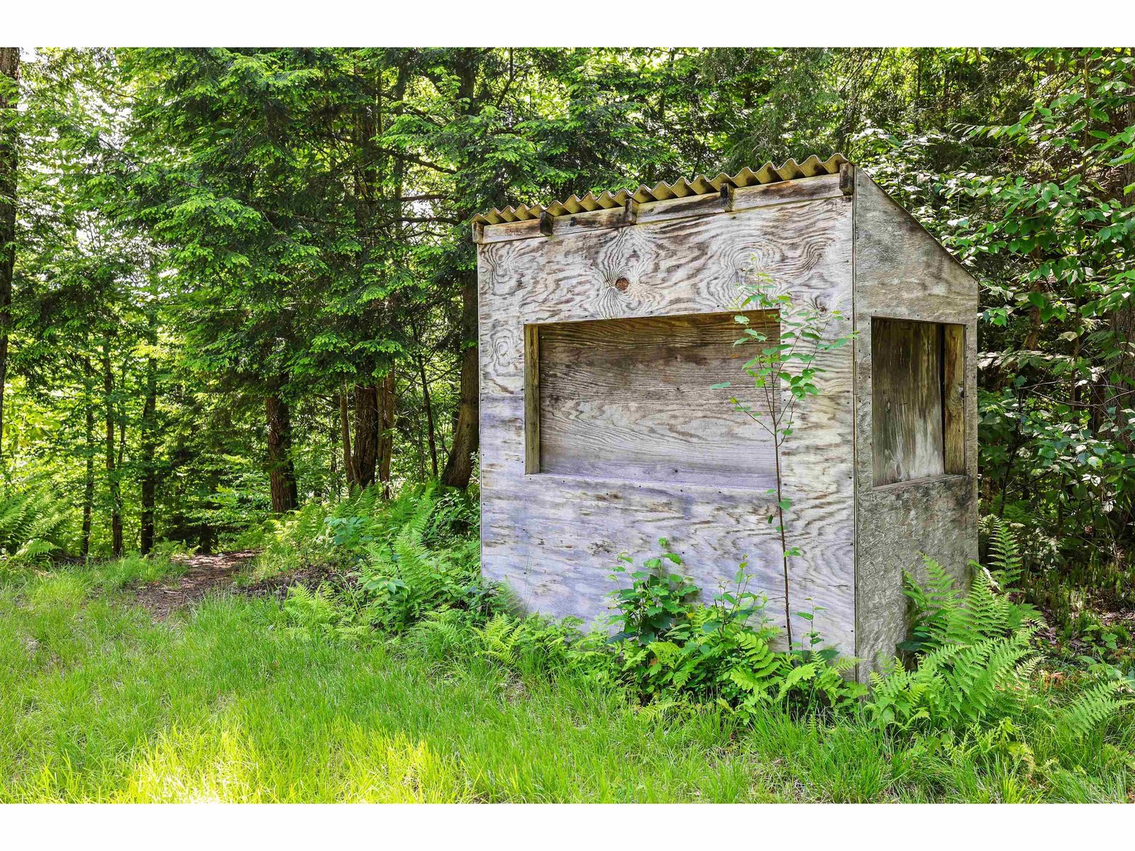 3 Hunting Huts