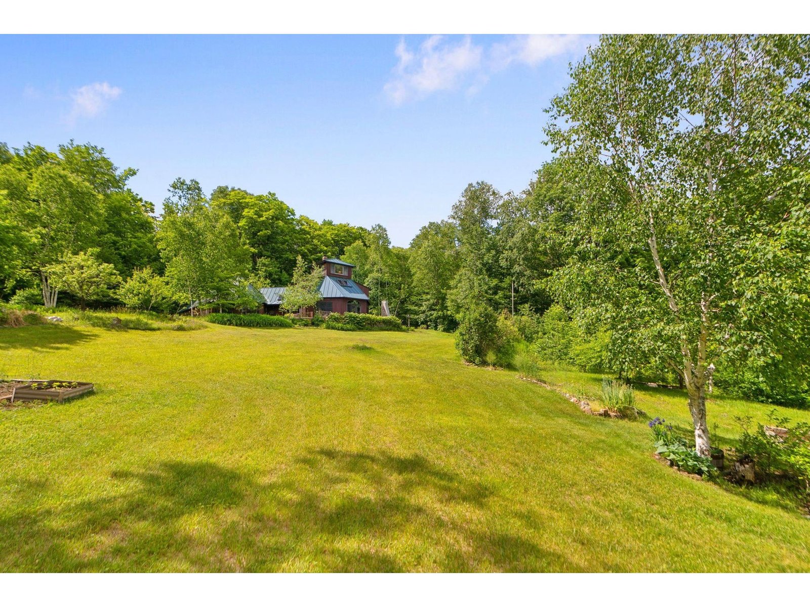 Front Lawn 2