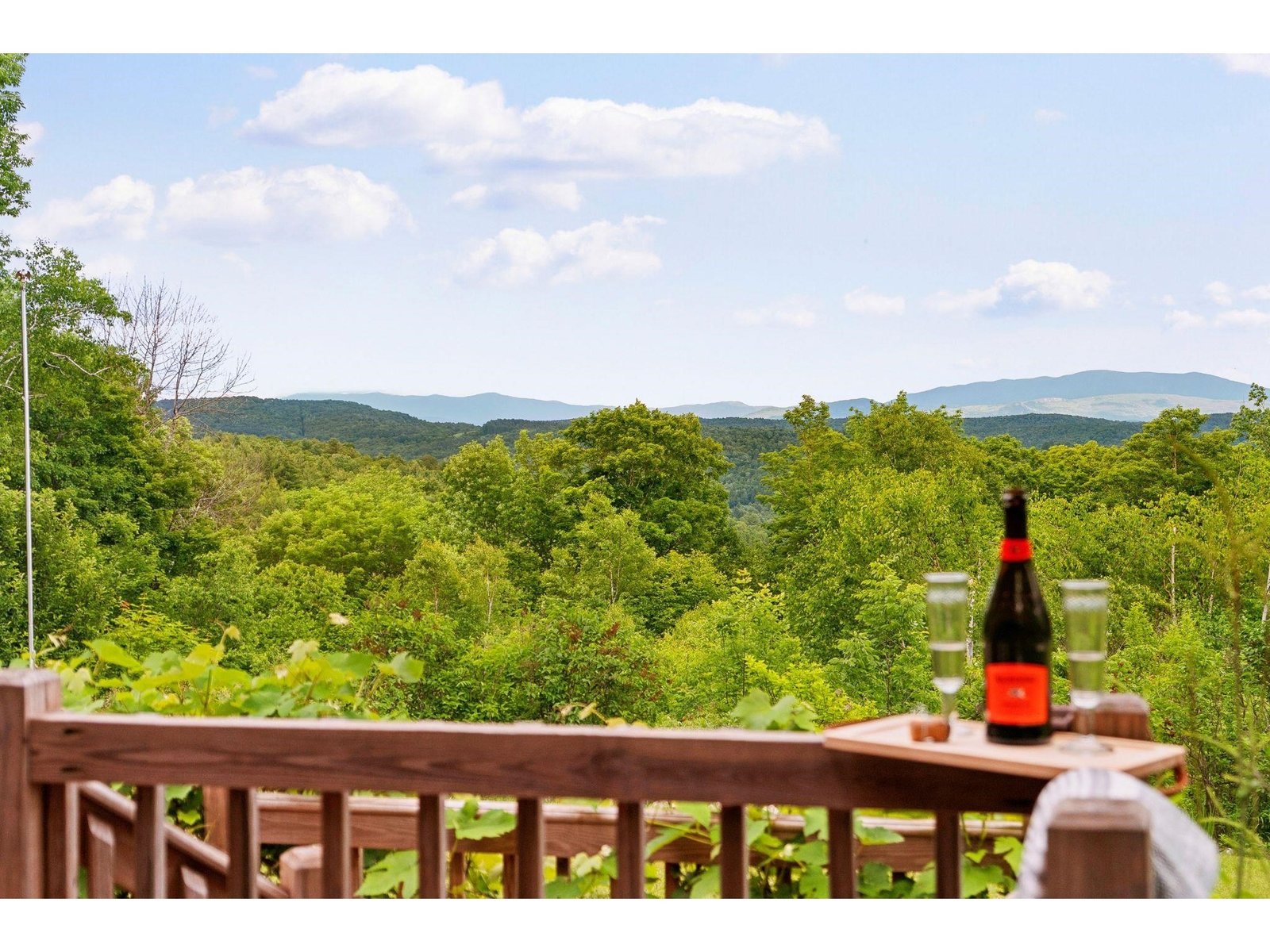 Deck View