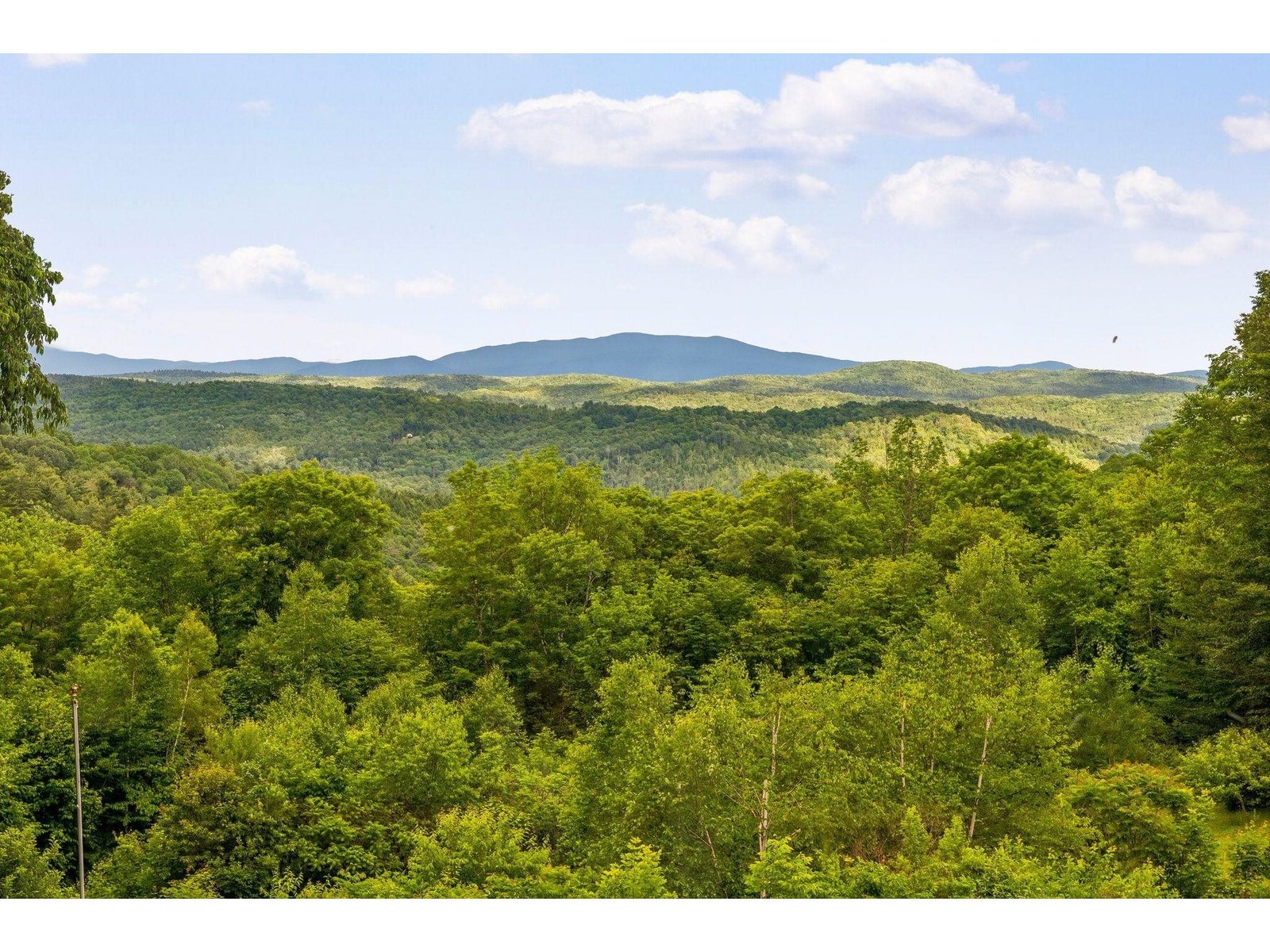 Long Range Views