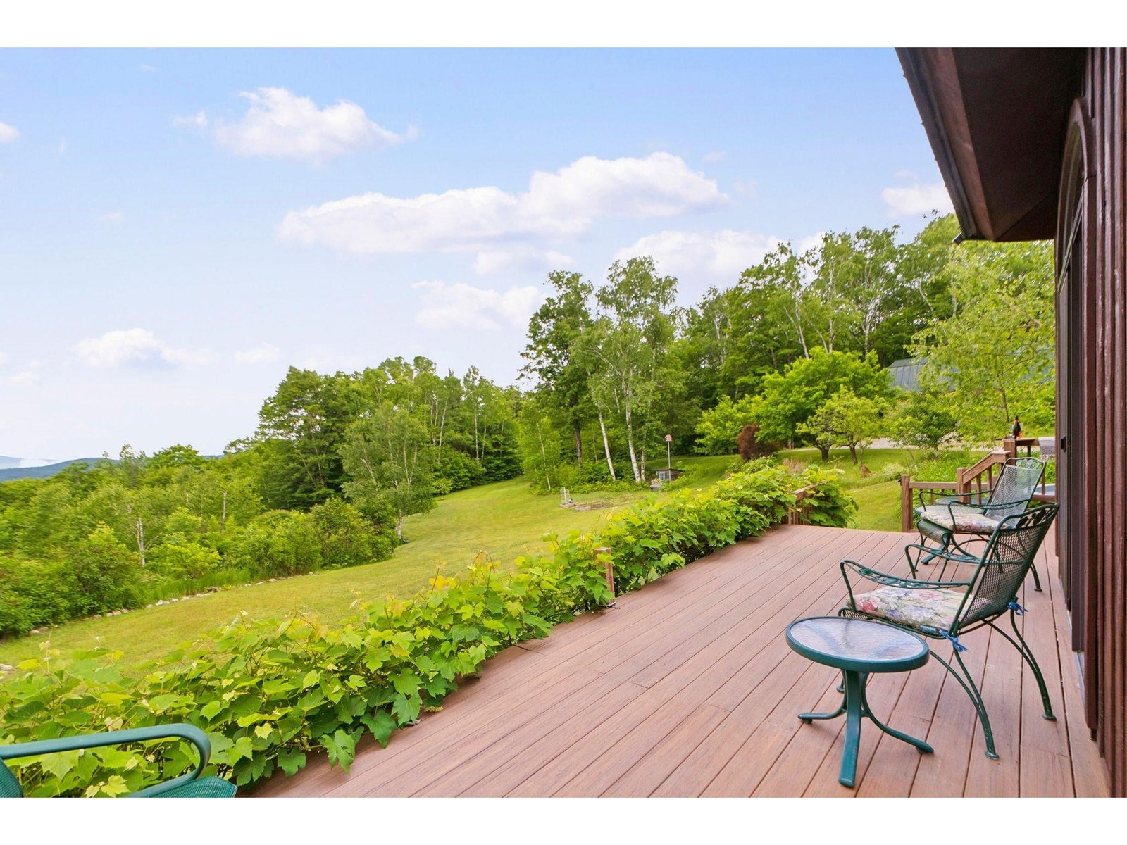 Deck with Views