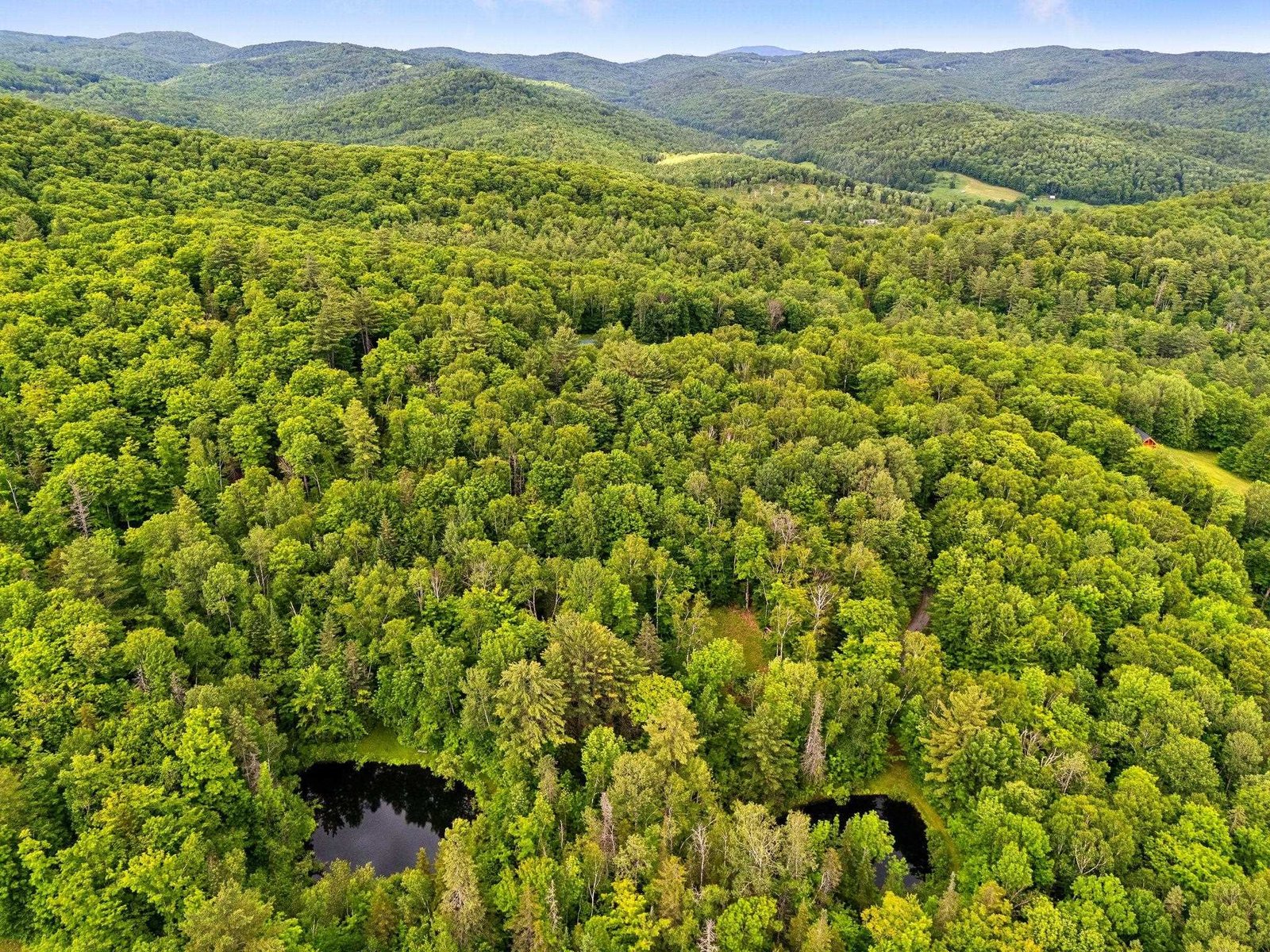 Two Ponds