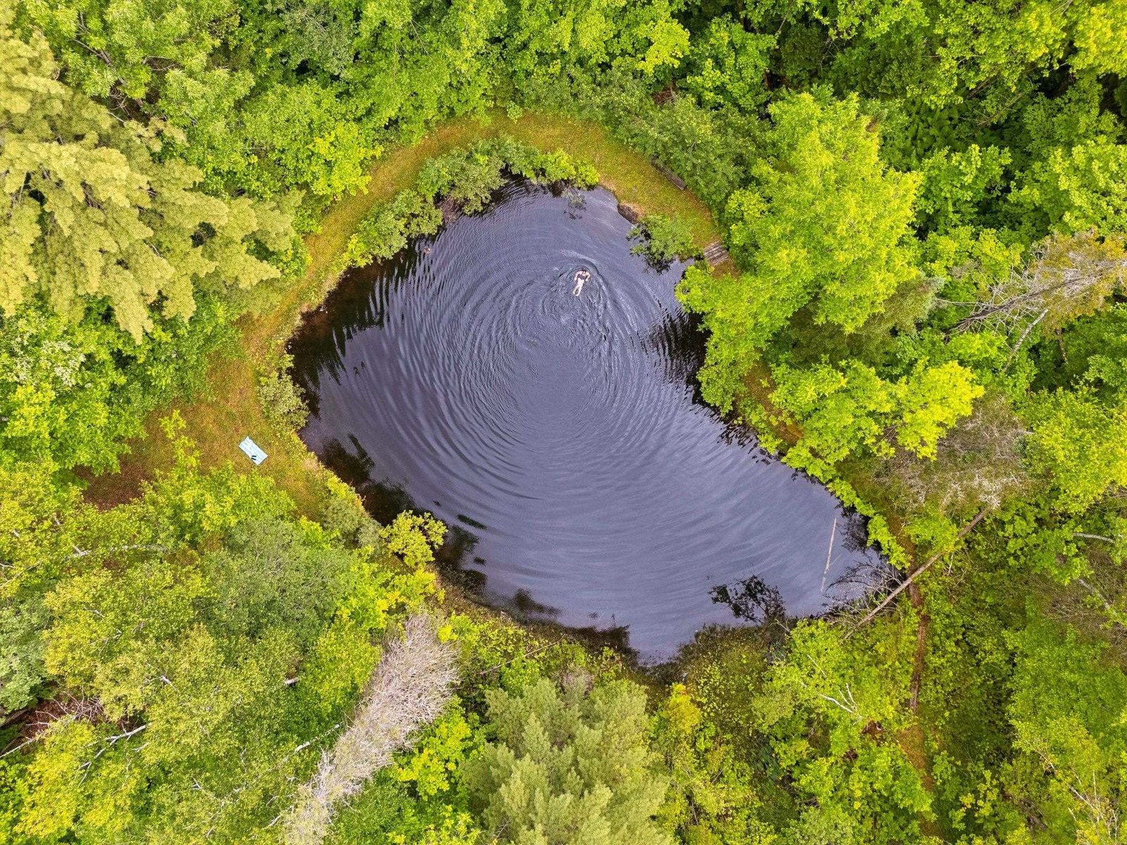 Lower Pond