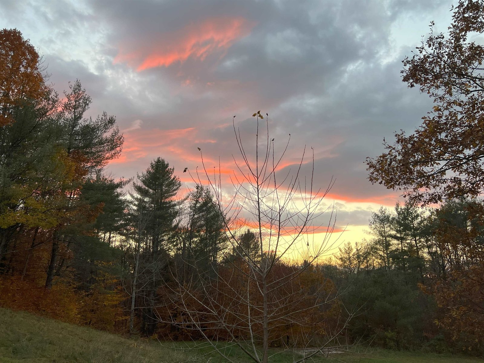 133 Stagecoach Road