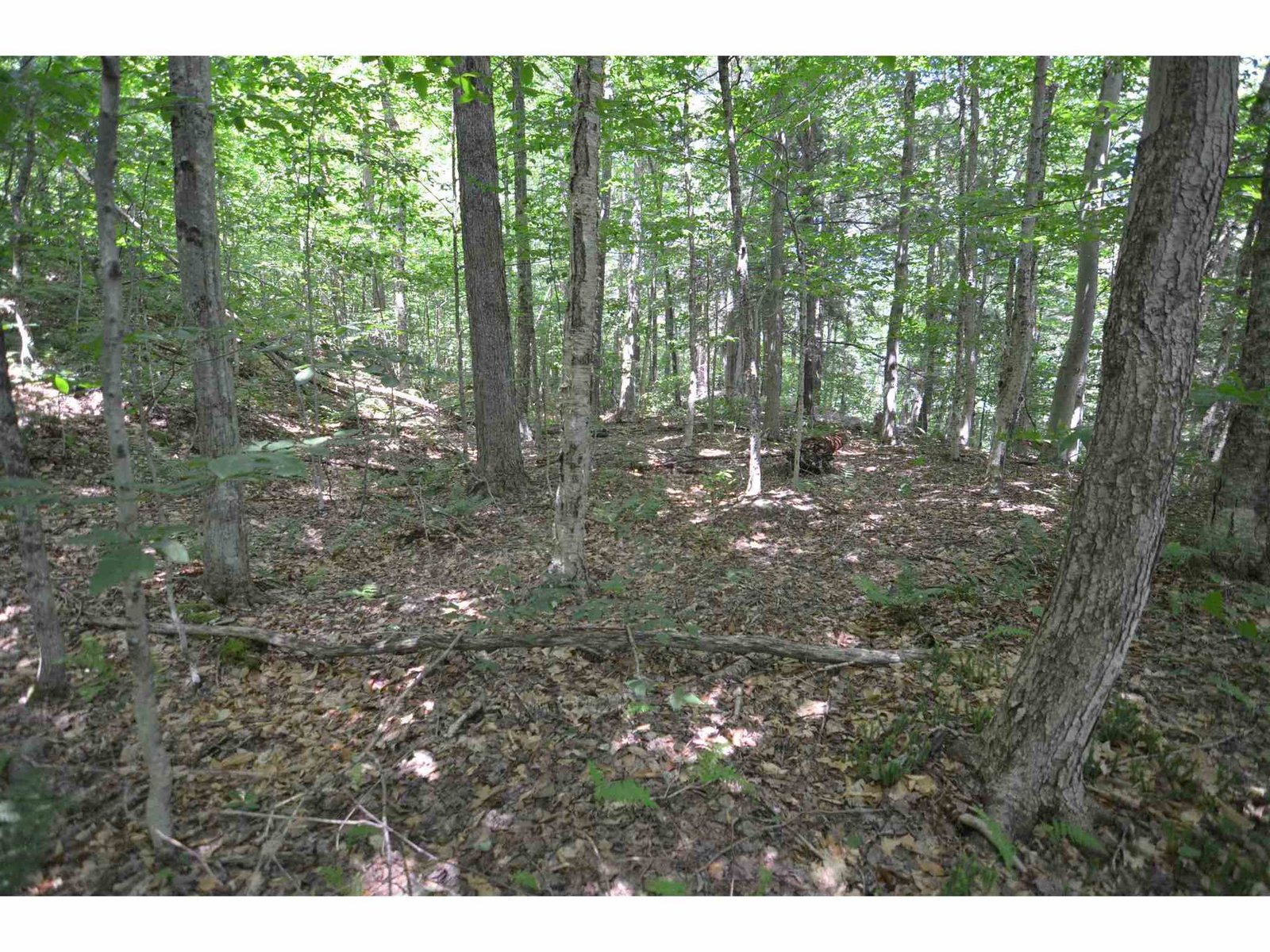 Upper plateau