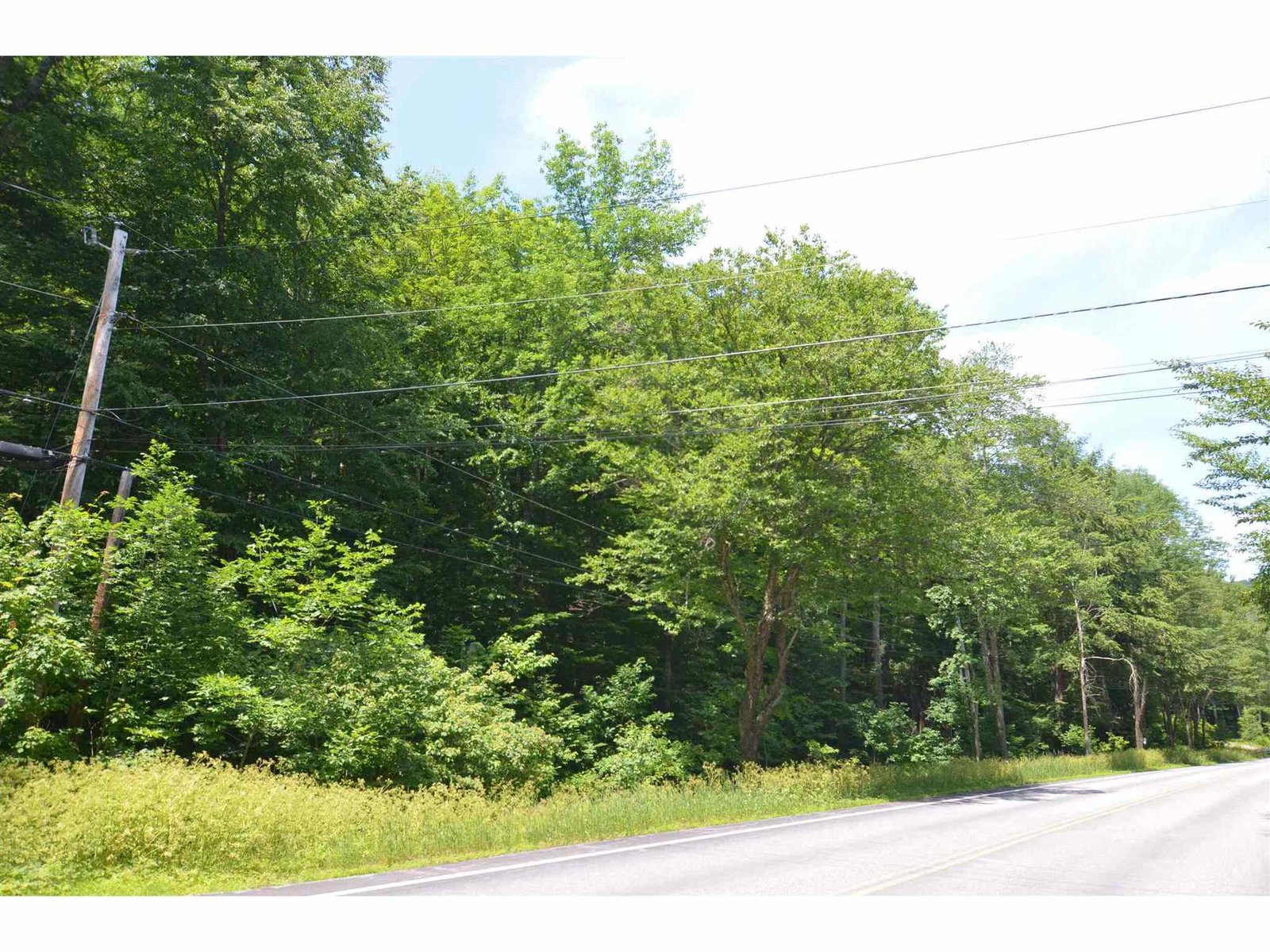 Looking north at road frontage
