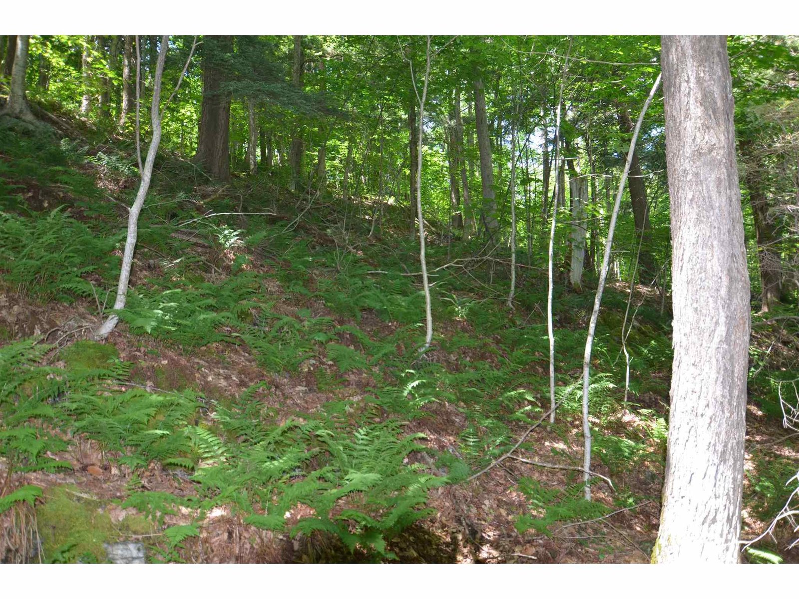 Slope to second plateau