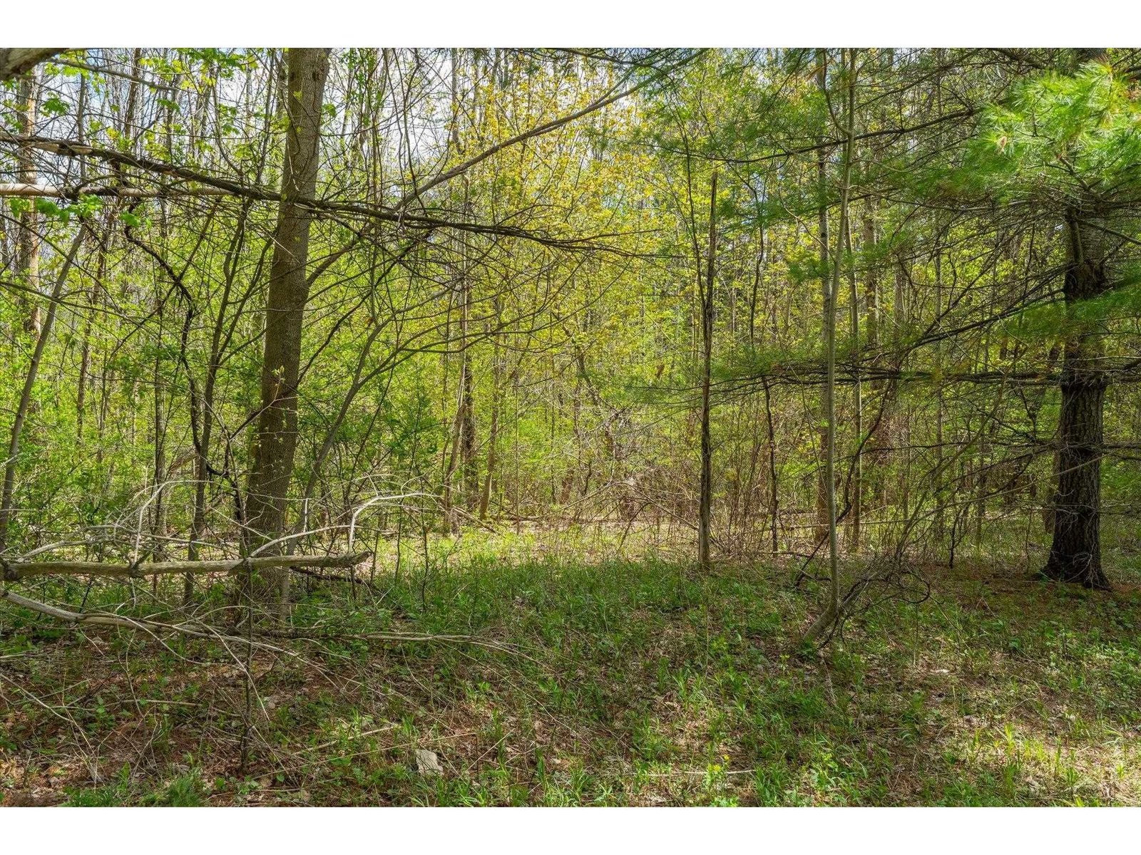 1347 Morse Hill Road