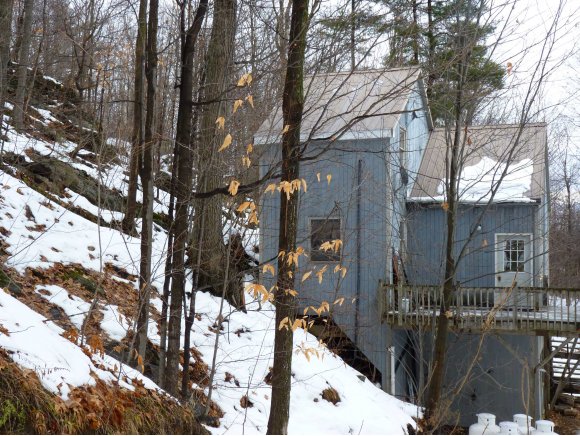 1351 Forrest Rd.
