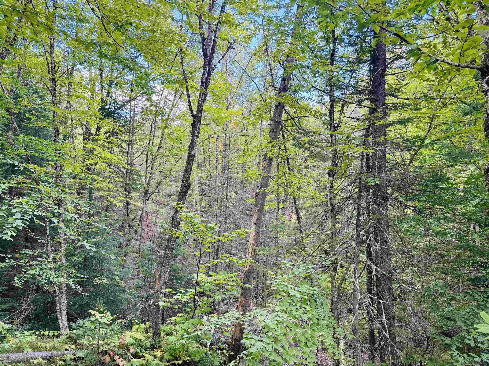1352 Mud Hollow Road