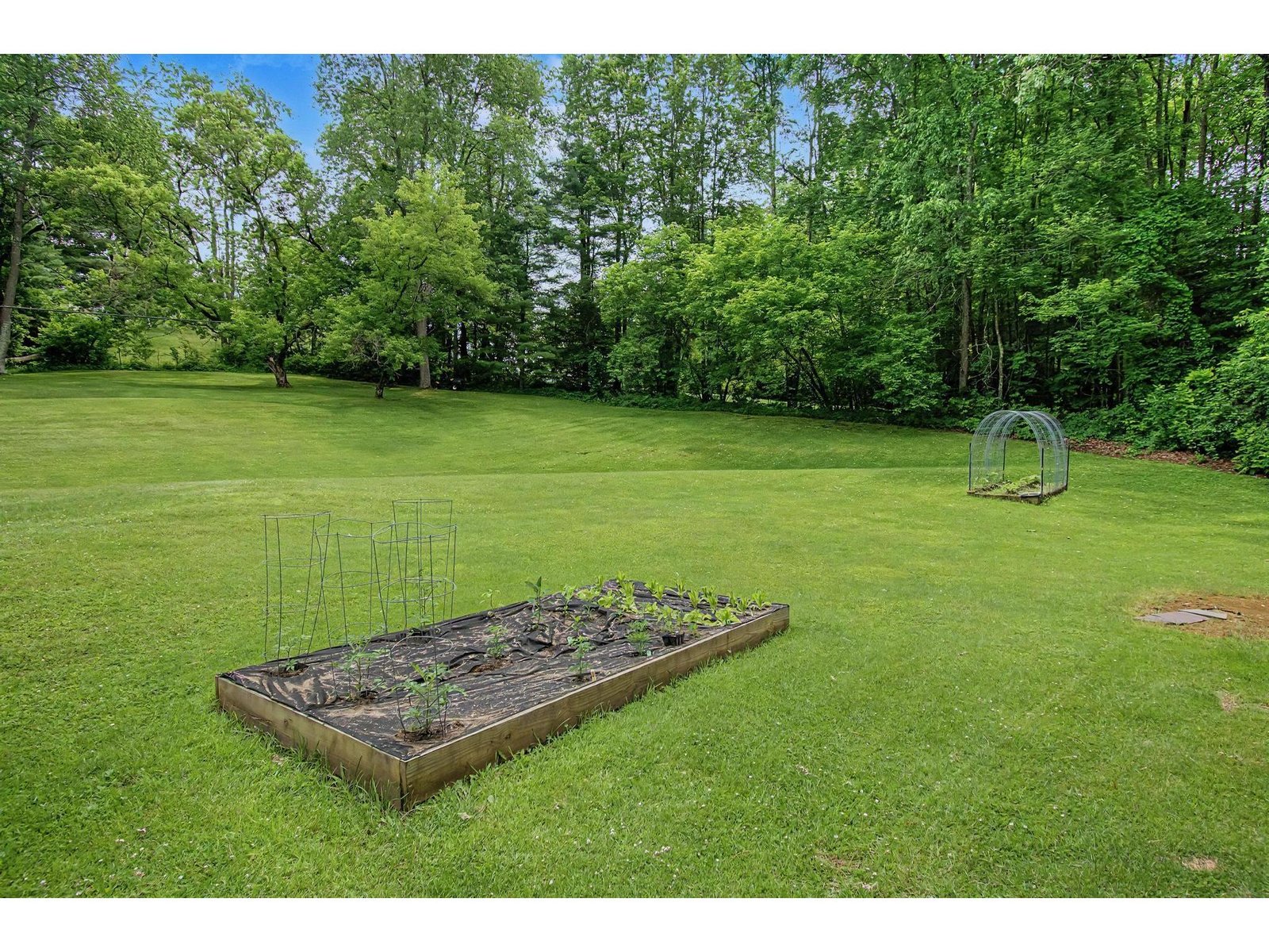 Side Yard Garden Space