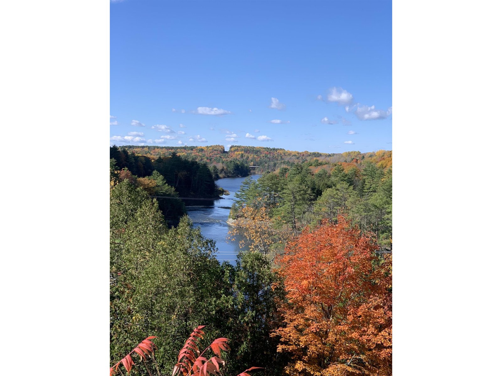 Beautiful VT Fall Foliage