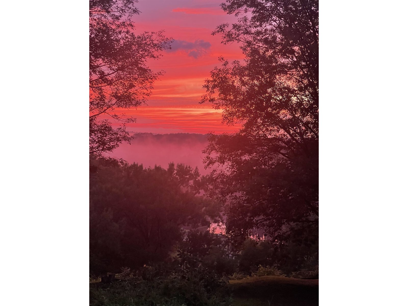 Sunsets galore!