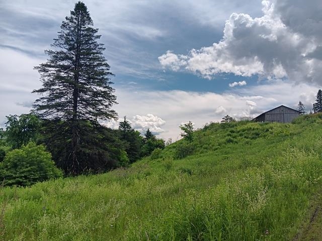 1362 Vail Drive