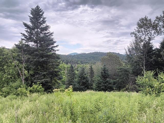 1362 Vail Drive