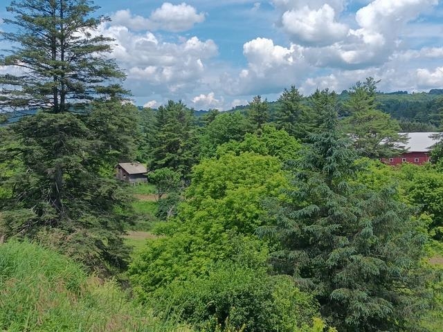 1362 Vail Drive