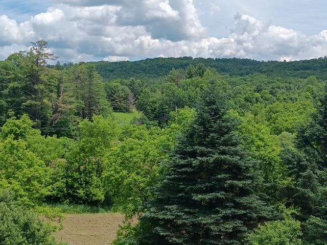 1362 Vail Drive