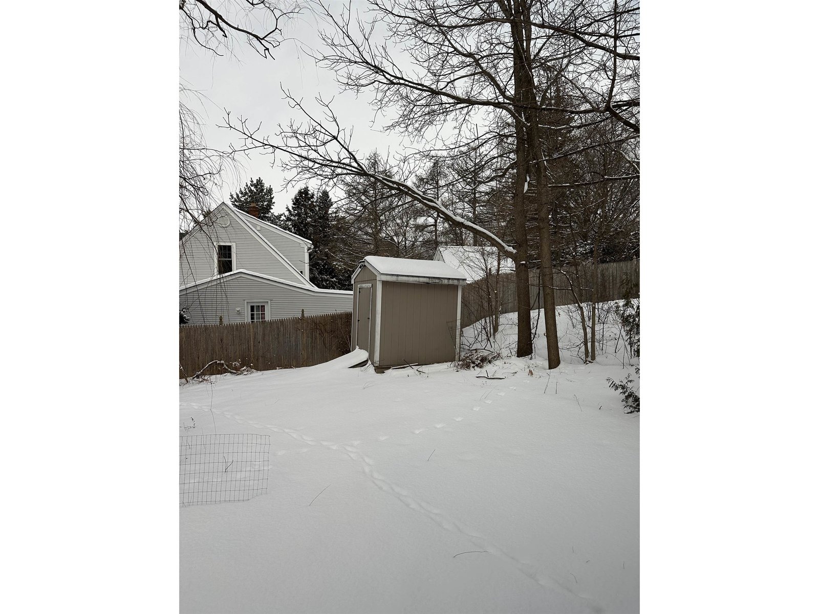 137 Pine Street
