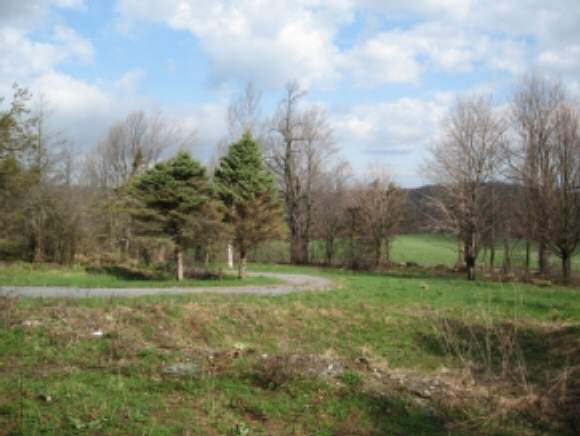 1374 Lewis Creek Rd