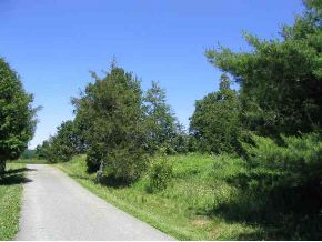 1374 Lewis Creek Road