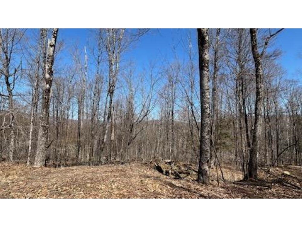 1376 Kingdom Road, Plymouth