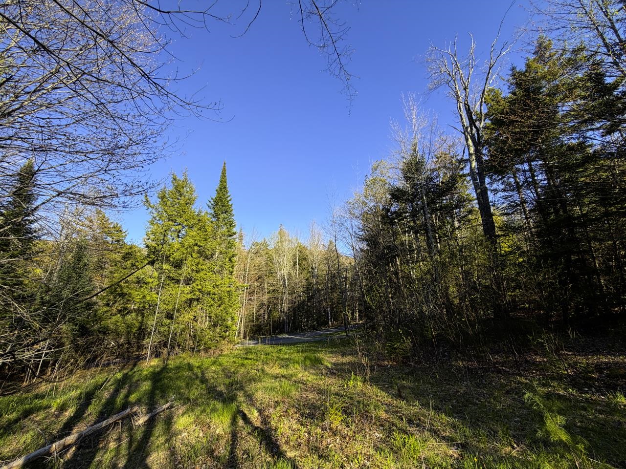138 Fairview Road