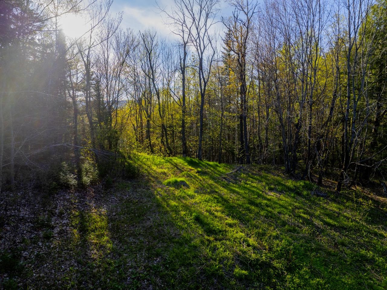 138 Fairview Road