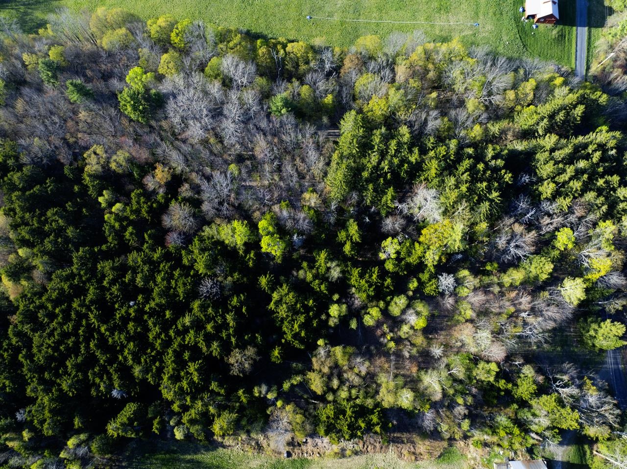 138 Fairview Road