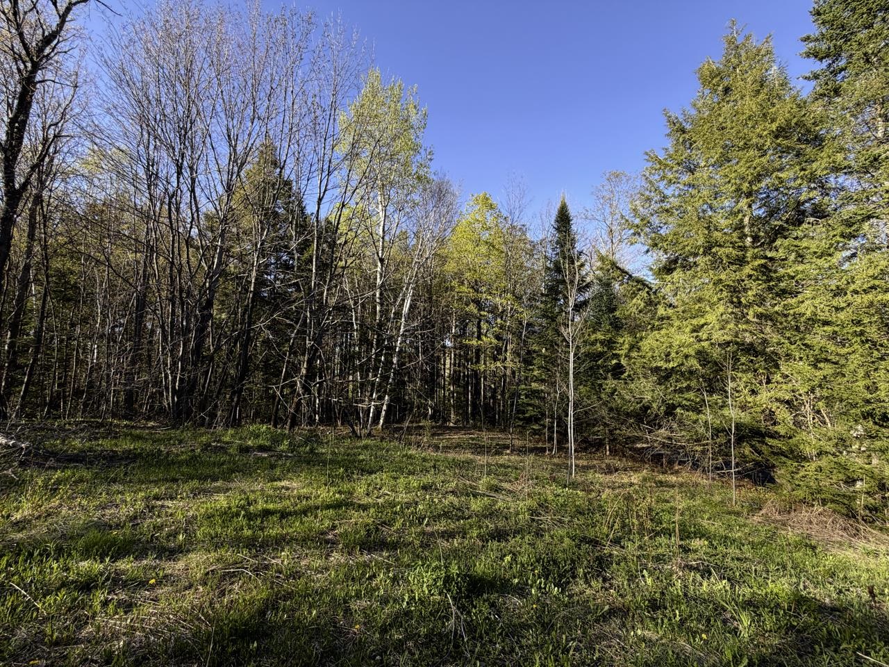 138 Fairview Road