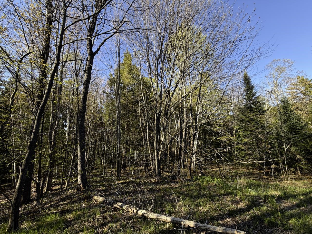 138 Fairview Road