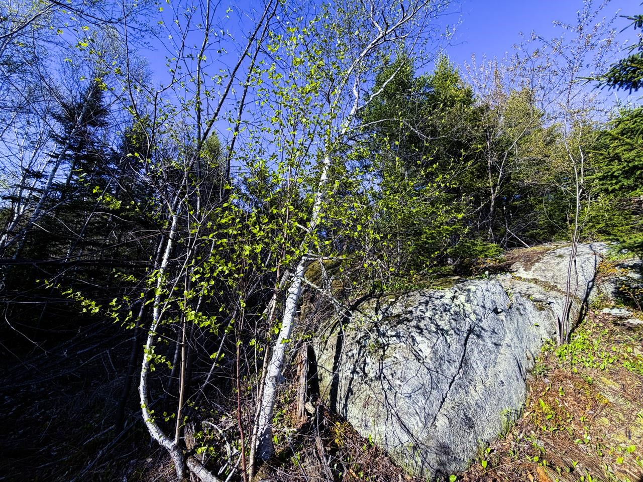 138 Fairview Road