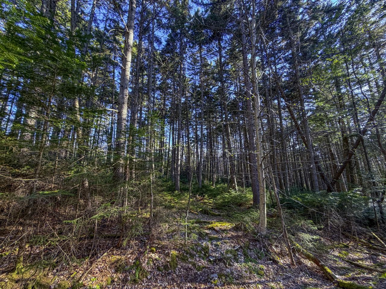 138 Fairview Road