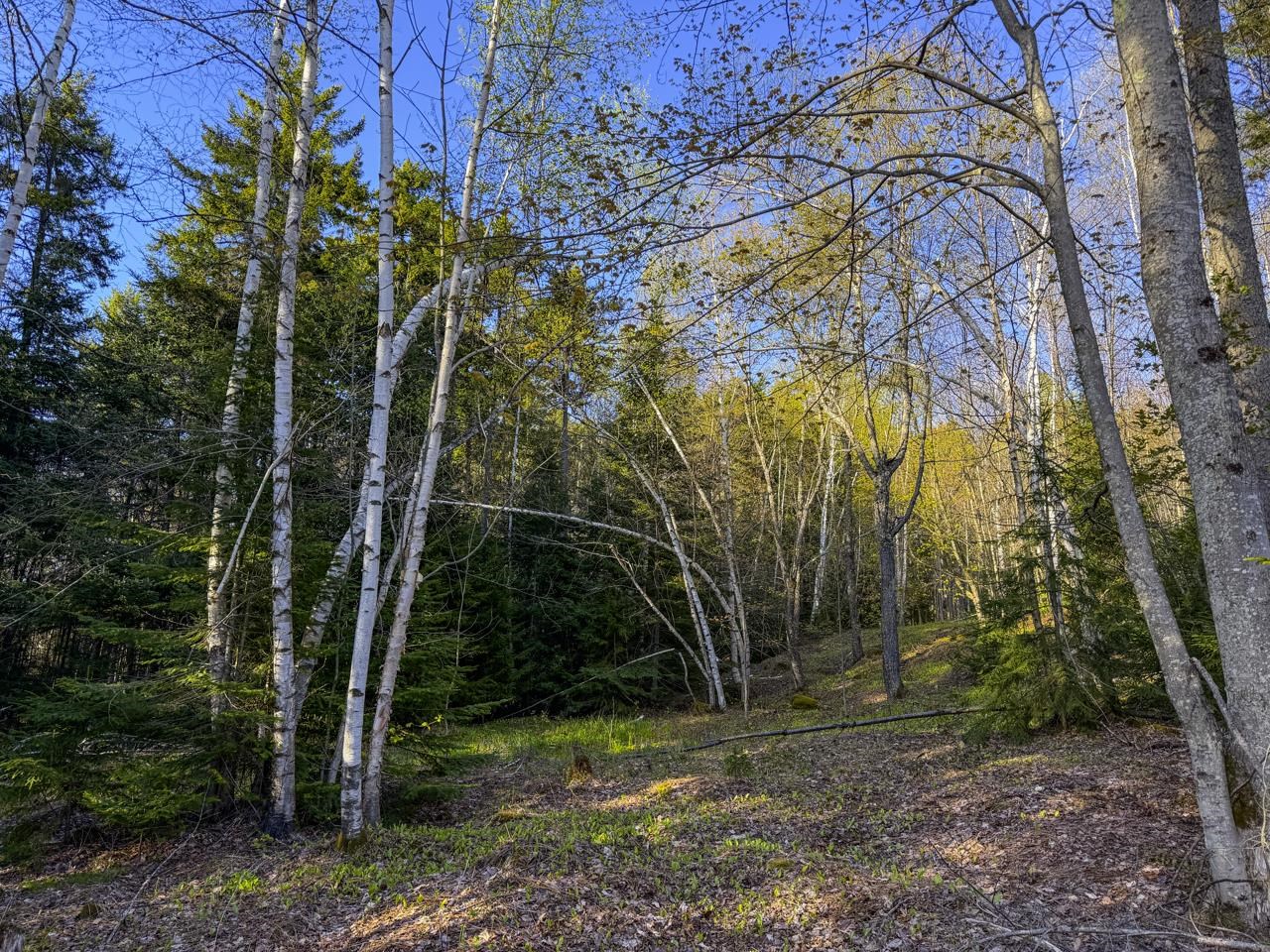 138 Fairview Road