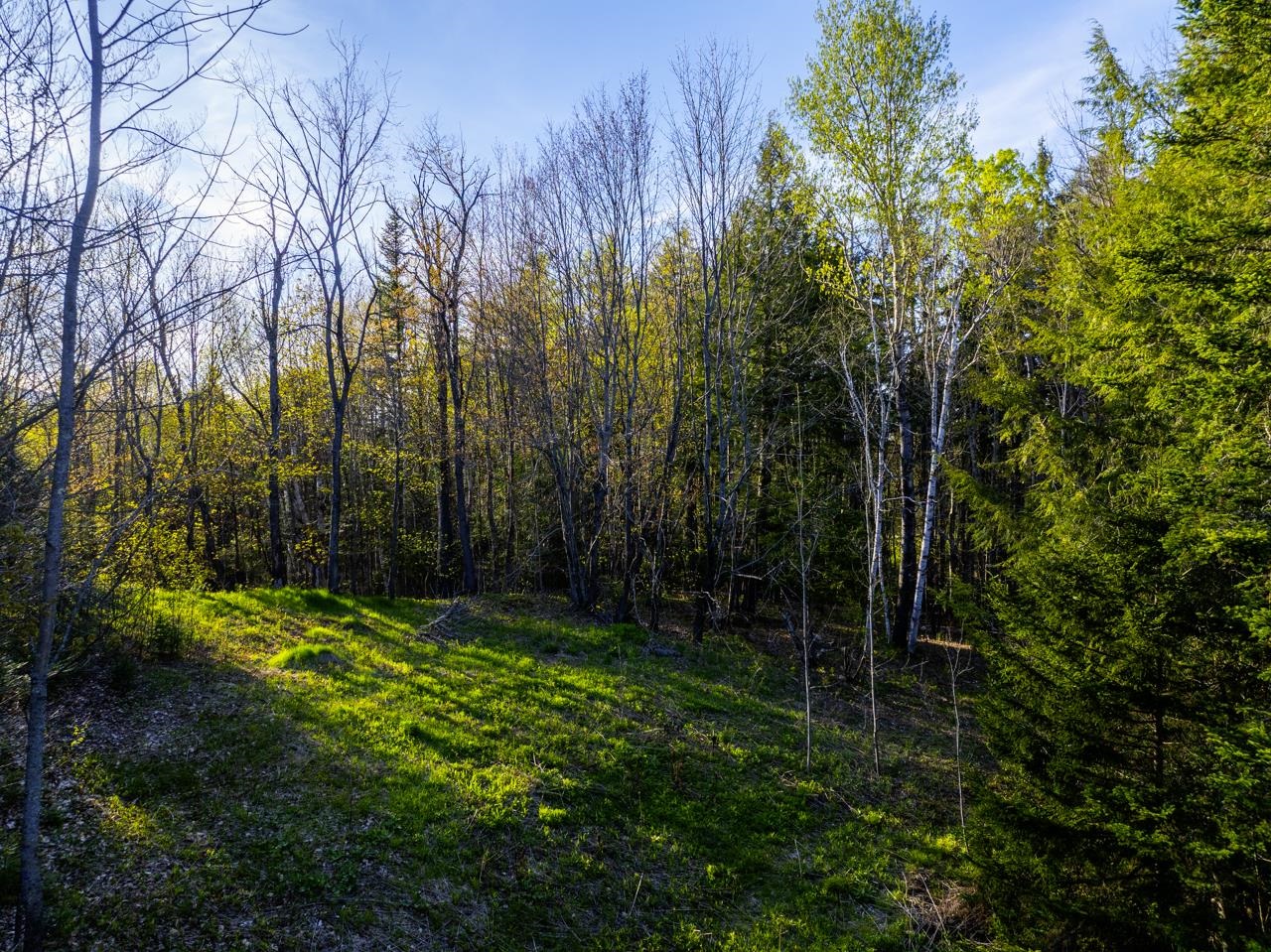 138 Fairview Road