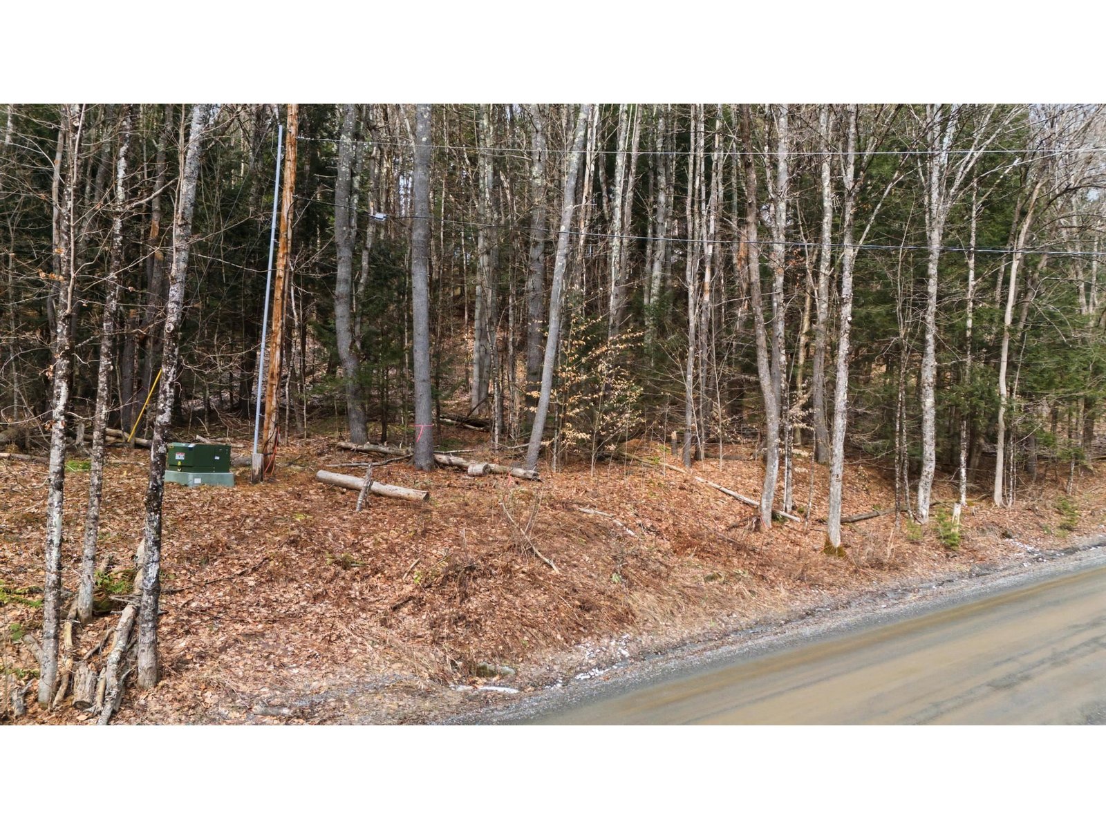 138 Shepardson Hollow Road