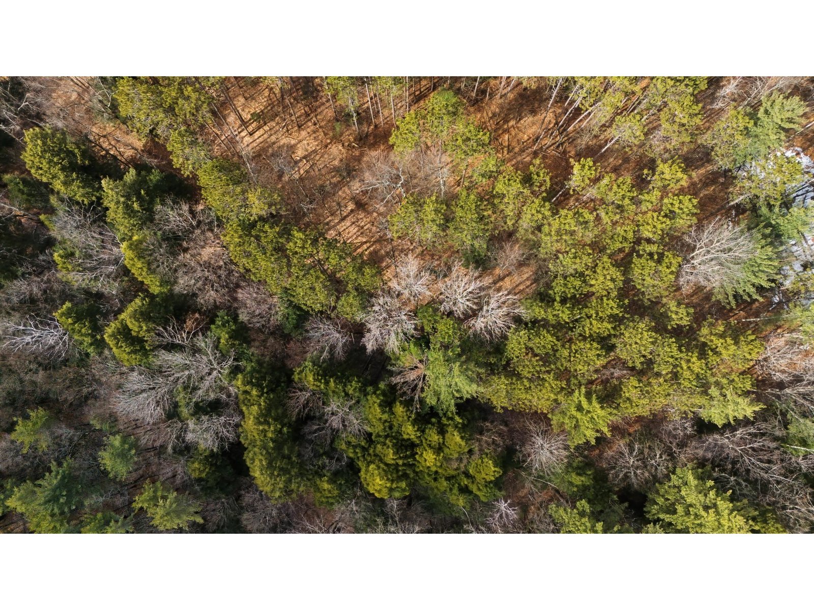 138 Shepardson Hollow Road