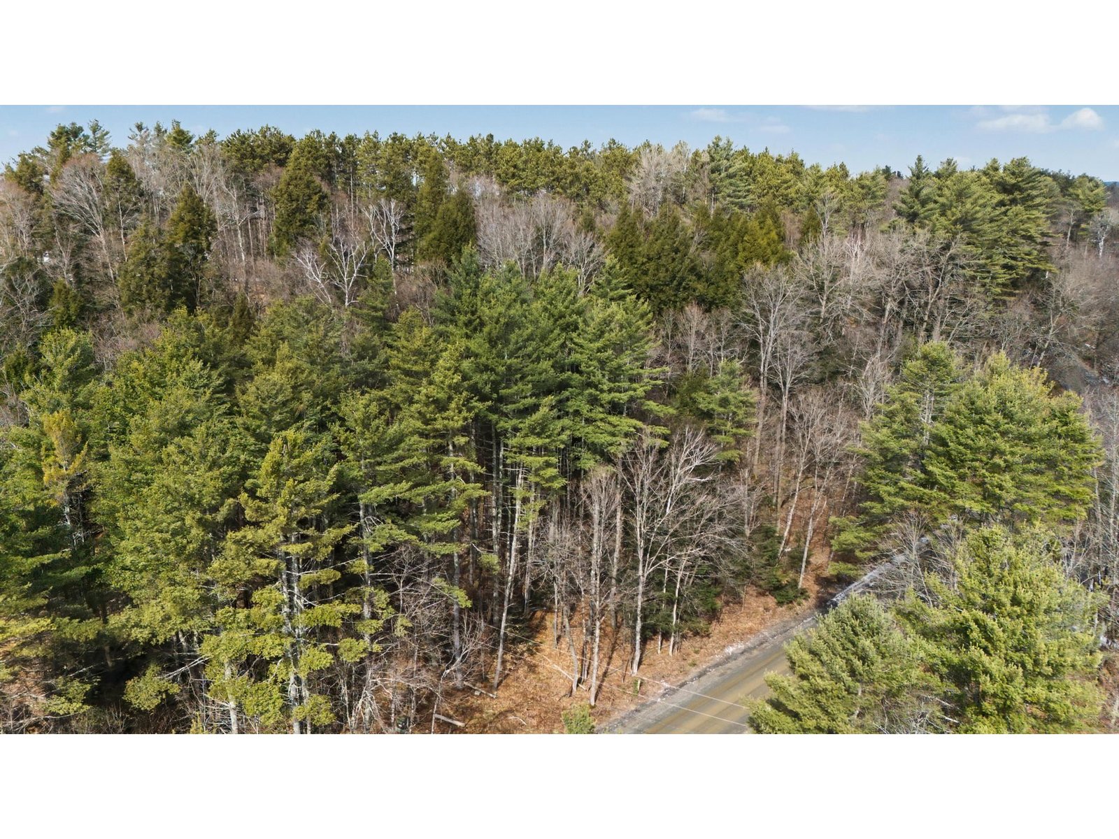 138 Shepardson Hollow Road