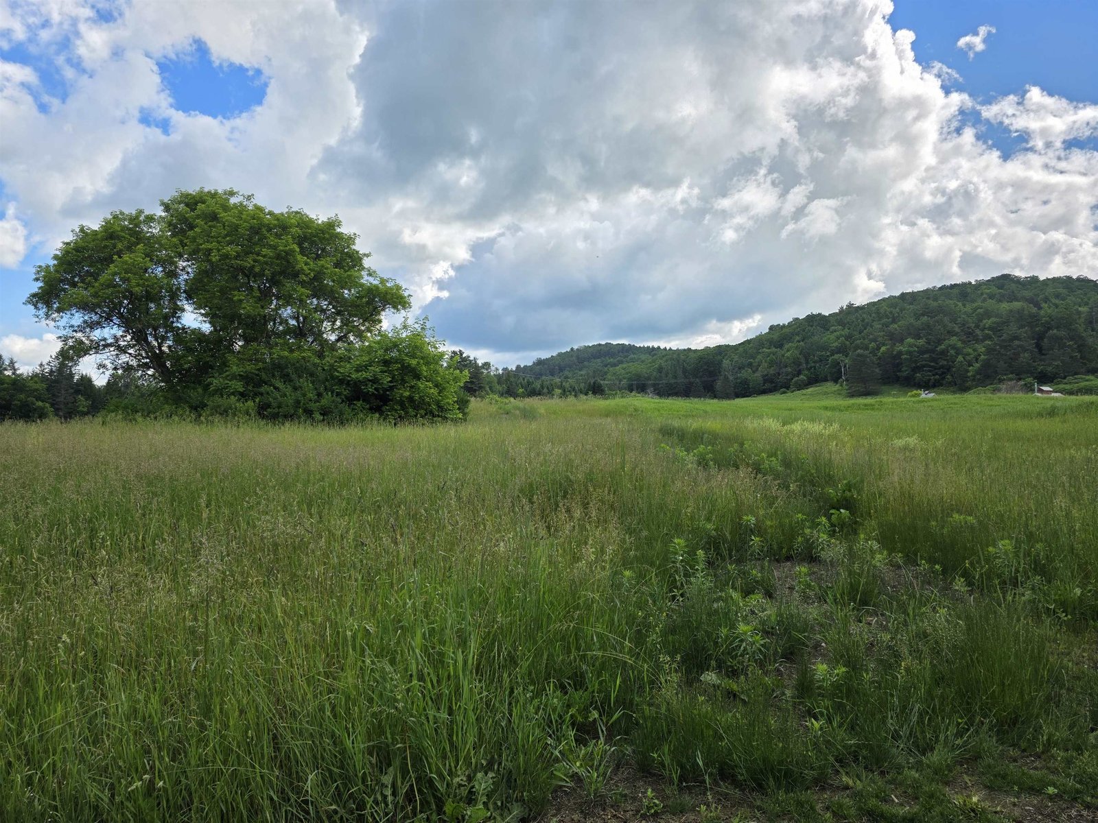 1385 Red Village Road